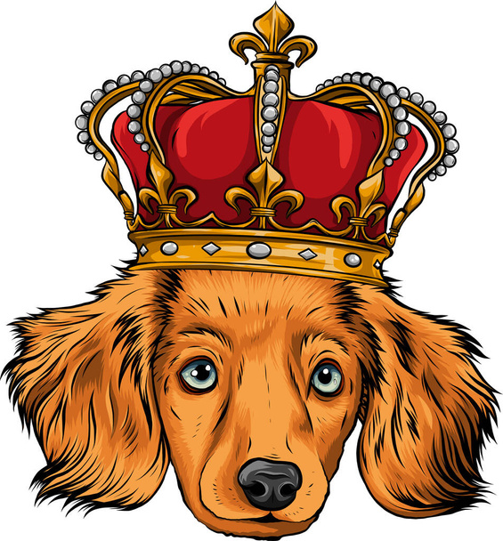 vector head Dog king in white background - Vector, Image