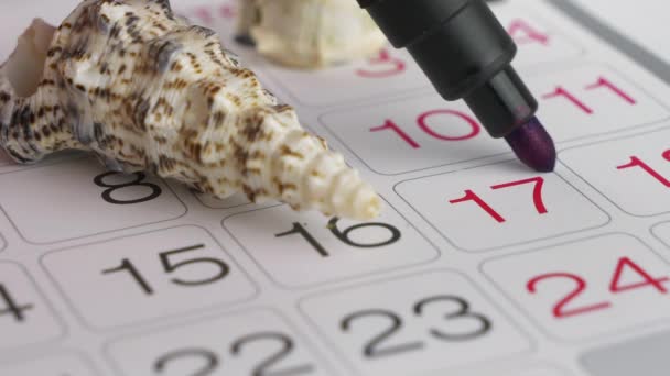 丸みを帯びた日付と貝殻とカレンダープランナー - 映像、動画