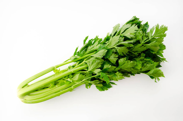 Fresh celery on a white background - Photo, Image