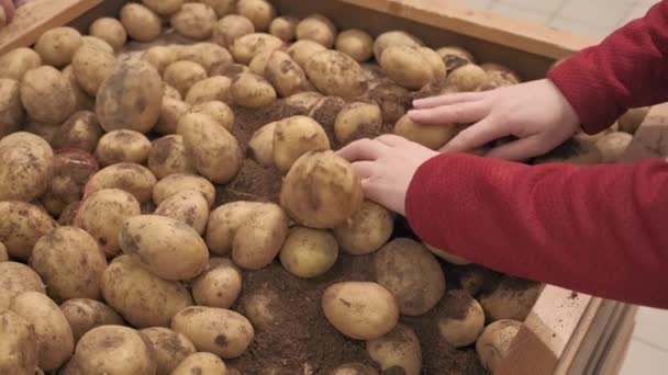 Meisjesboer legt verse aardappelen op de toonbank. Van dichtbij geschoten. - Video
