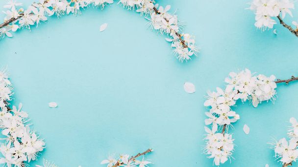 Фон Сакуры с цветком цветов и апрельская цветочная природа на голубом. Красивая сцена с цветущим деревом. Пасхальный солнечный день. Абстрактный фон в саду размыт. Весна - Фото, изображение