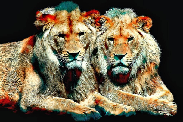 Львы - цветные цифровые произведения искусства - Фото, изображение