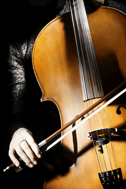 Orchestra instruments cello - Photo, image