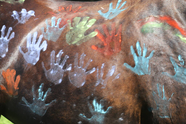 Cavallo spalmato con vernice colorata nel campo estivo per bambini sfondo naturale all'aperto  - Foto, immagini