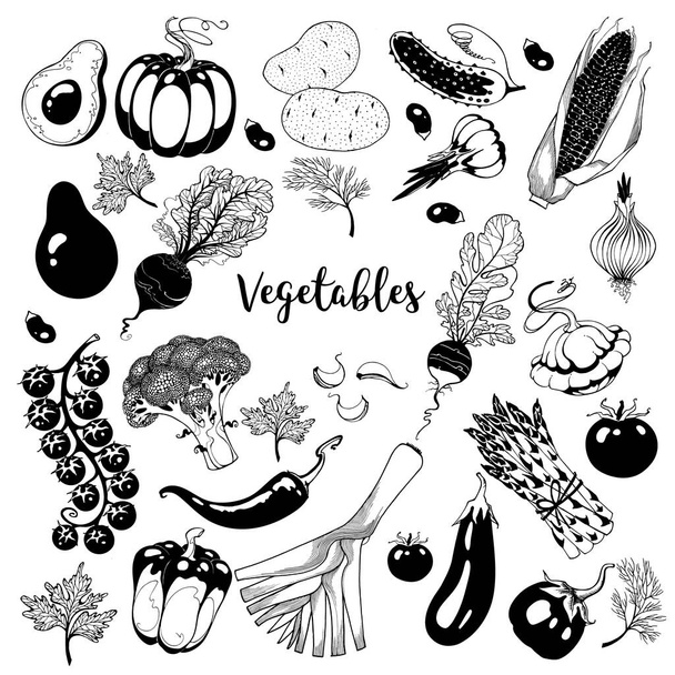 Набір овочів вектор
 - Вектор, зображення