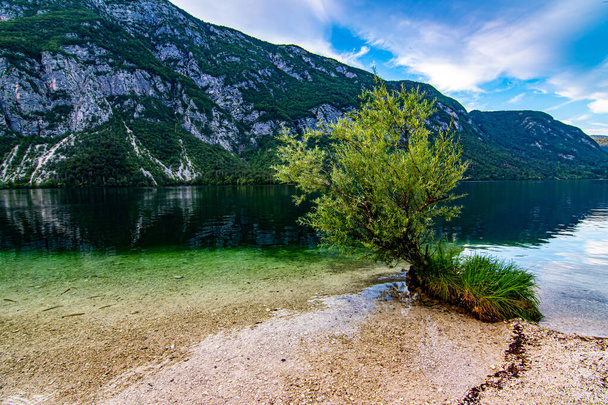 Lago Bohnij - Bohnijsko Jezero, Eslovenia, hermoso espejo de agua al final de la tarde - Foto, imagen