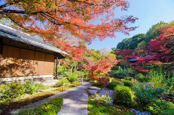 Traditional Japanese garden - Photo, Image