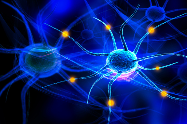 Cellule nerveuse 3d
 - Photo, image