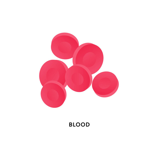 Sbírka lidských orgánů. Vektorové ploché moderní anatomické ikony barevné ilustrace. Červené krvinky izolované na bílém pozadí. Erytrocyty a hemoglobin. Známka zdravotní péče. Prvek návrhu. - Vektor, obrázek
