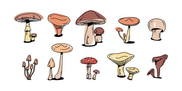 Conjunto de rabiscos coloridos de cogumelos. vários cogumelos desenhado à mão esboço plano. Champignon, chanterelle e shiitake.  - Vetor, Imagem