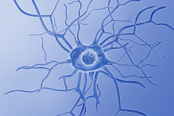 Nerve cells - Photo, Image