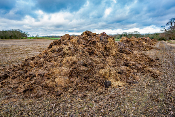  Fila de montones de estiércol en un campo arable listo para extenderse en el campo de Norfolk rural - Foto, imagen