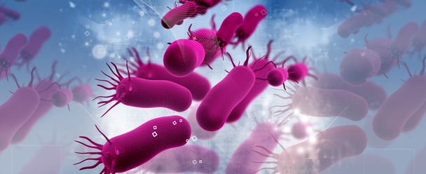Bactérias - Foto, Imagem