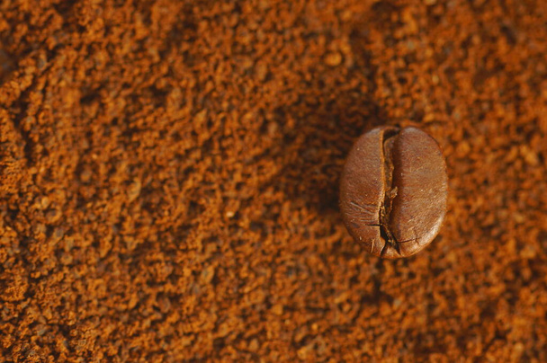 Roasted coffee bean - laid over used ground coffee. Close-up on coffee bean with blurred background. Brown color, lots of visible details. - Photo, Image