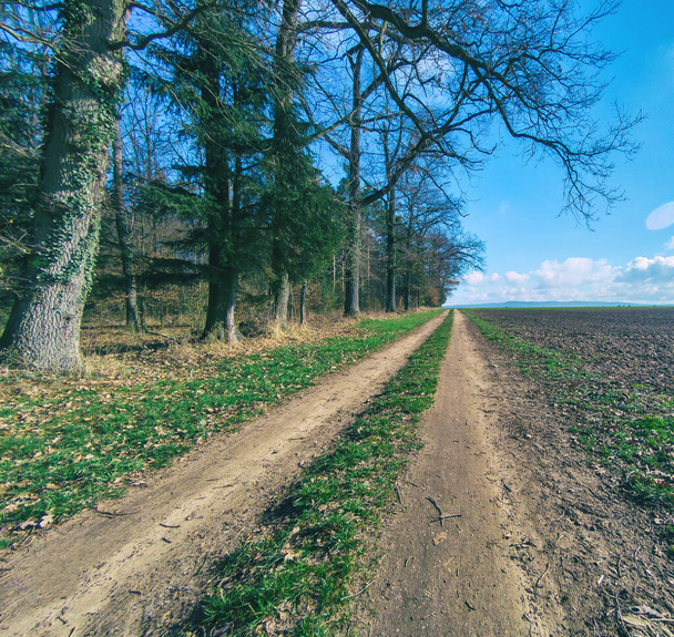 Route de ferme sale entre un champ à droite et des arbres à gauche menant à l'horizon vide - Photo, image