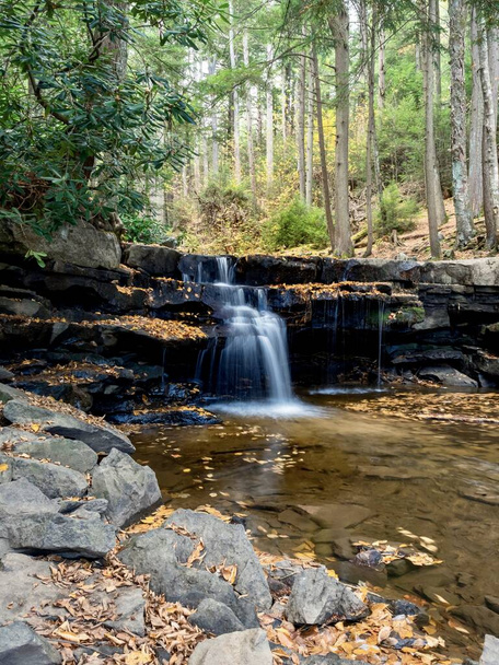 Swallow Falls State Park in the fall in the mountains of Maryland with the creek and waterfalls flowing, cascading in nature, fall foliage and trees to create the perfect fall water landscapes. - Photo, Image
