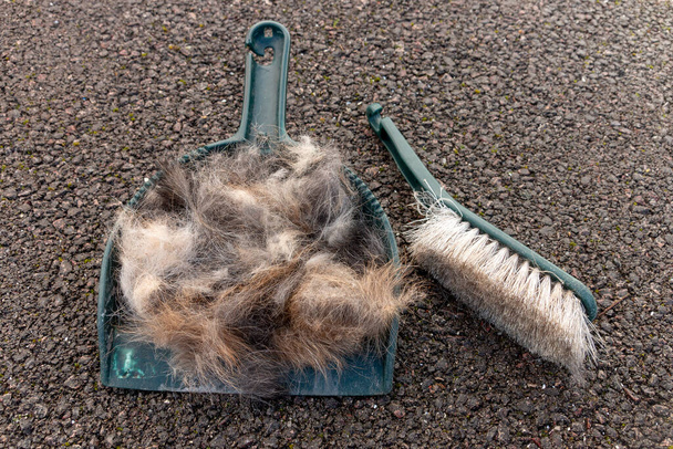 Una vista da vicino di pezzi di capelli in una piccola padella e spazzolare fuori sulla strada asfaltata  - Foto, immagini