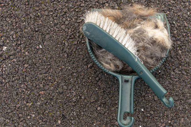 Une vue rapprochée de morceaux de cheveux dans une petite casserole et brosse à l'extérieur sur la route goudronnée  - Photo, image