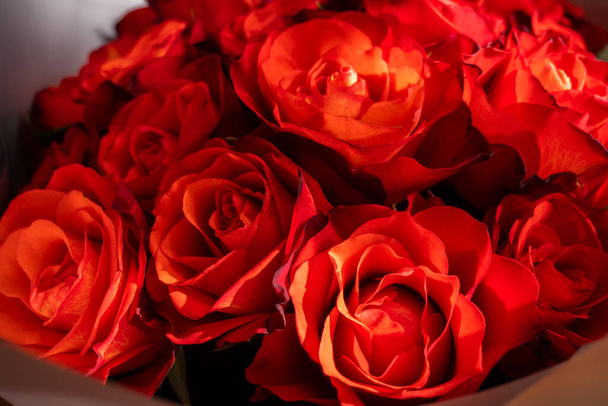 Kırmızı güller buketi, kırmızı güller arka plan, bir demet gül - Fotoğraf, Görsel