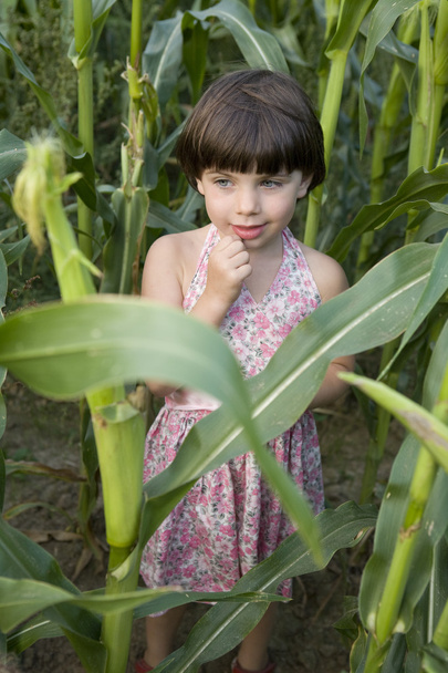 little cute girl standing on field of corn - Fotó, kép