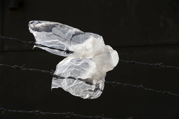 有刺鉄線で捉えられた透明なプラスチック片のクローズアップ - 写真・画像