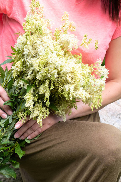 Meadowsweet. Aromatic white flower with sweet taste and flavour. Powerful natural healer in folk medicine. Woman holding a bundle of meadowsweet in nature - Photo, Image
