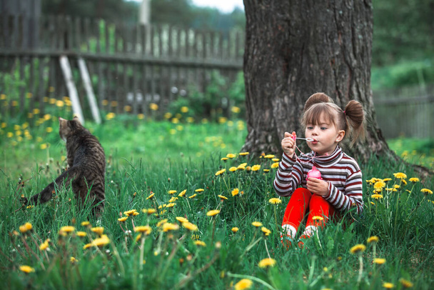 Kleines Mädchen spielt im Sommer mit Katze und Seifenblasen im grünen Park.  - Foto, Bild