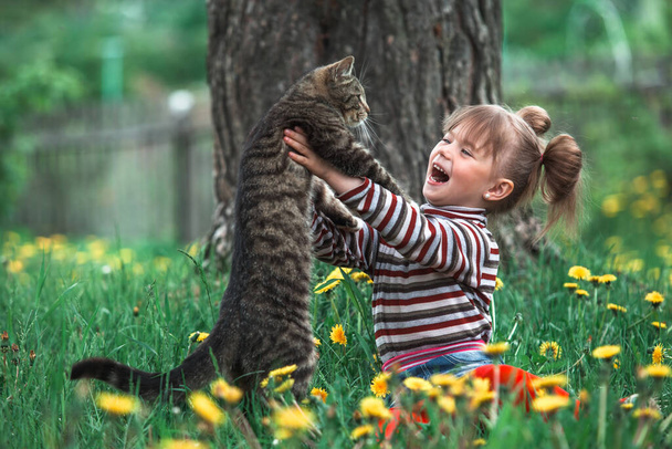 Meisje spelen met een kat in het groene park in de zomer.  - Foto, afbeelding