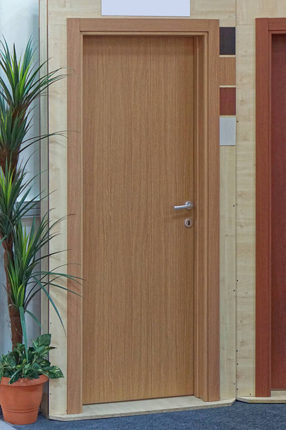 Brown veneer wood door in home interior - Photo, Image