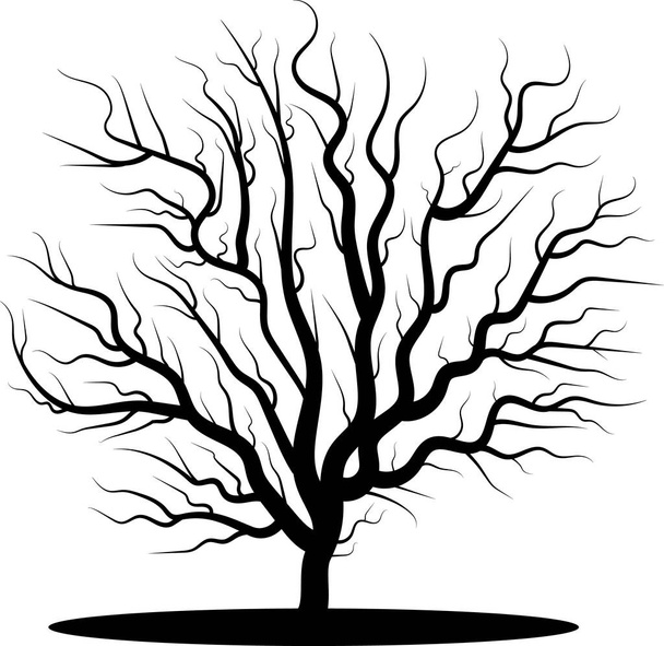 Νεκρό δέντρο για να δημιουργήσετε νύχτα ή τρομακτικό τοπία - Φωτογραφία, εικόνα