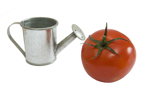 Silver watering can with tomato - Foto, Imagen