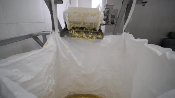 Tuotantolinja siirtää perunavälipaloja. Tuotantolinja pasta tehdas, pasta tuotanto, pasta pudotetaan pussiin - Materiaali, video
