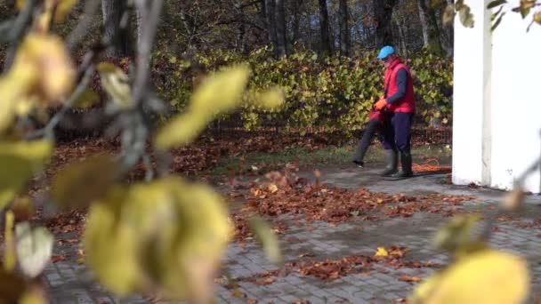man blowing leaves visible through colorful twig branch. Gimbal motion - Footage, Video