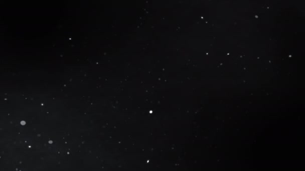Absztrakt fehér porszemcsék lebegnek fekete háttéren balról jobbra. 4K 3D varrat nélküli hurok fehér részecskék por repül a levegőben overlay a kompozíció. Körkörös animáció. - Felvétel, videó