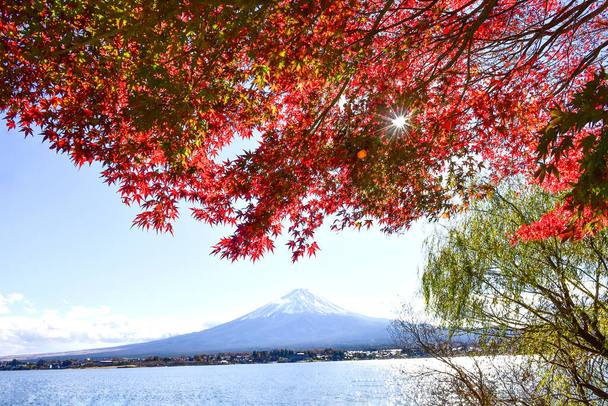 Saison d'automne colorée et montagne Fuji au lac Kawaguchiko Japon. - Photo, image