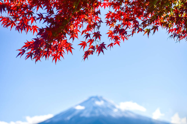 Farbenfrohe Herbstzeit und Berg Fuji am Kawaguchiko-See Japan. - Foto, Bild