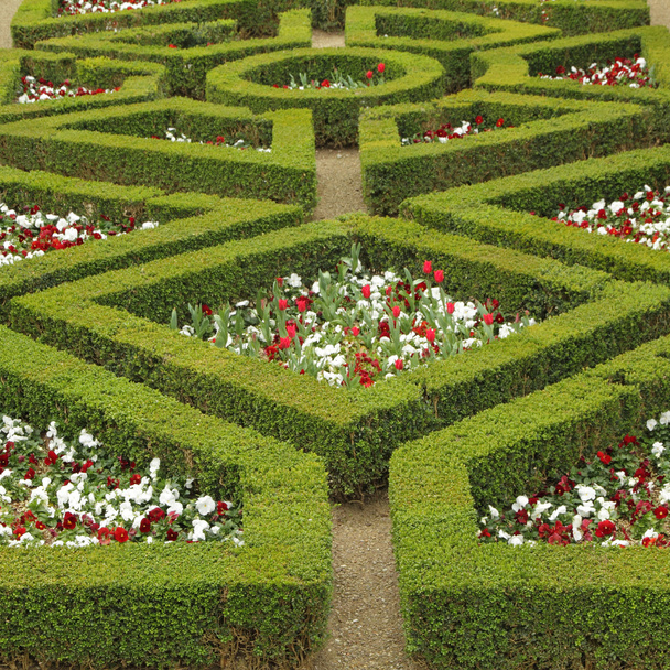 Labyrinth-Blumenbeet - Foto, Bild