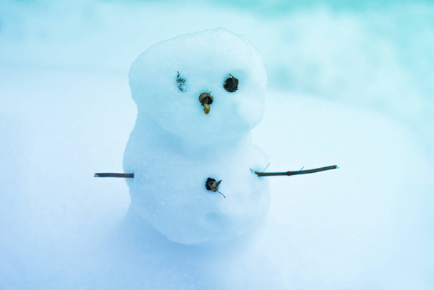 крупним планом щасливий сніговик в саду
 - Фото, зображення