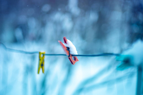 Plastic cloths pegs attached to a washing line in a garden. - Photo, Image