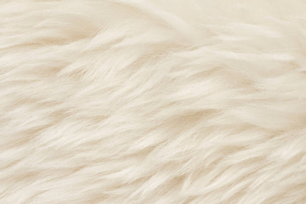 Φυσικό δέρμα ζώου λευκό μαλλί απρόσκοπτη υφή φόντο. ελαφρύ μαλλί προβάτου. υφή αφράτης γούνας για σχεδιαστές. γκρο πλαν θραύσμα λευκό μπεζ μάλλινο χαλί - Φωτογραφία, εικόνα