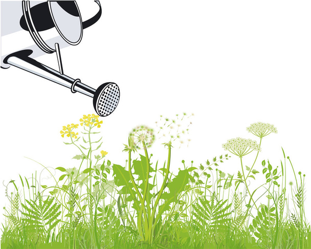 Water plants with a watering can - Vector, Image