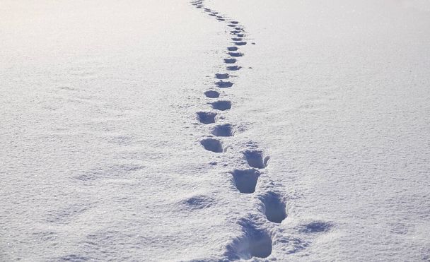 Ludzkie ślady stóp w śniegu - Zdjęcie, obraz