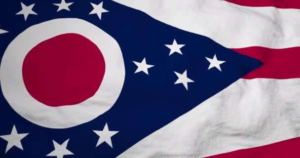 Ohio (ABD) bayrağının tam kare 3D animasyonu. - Video, Çekim