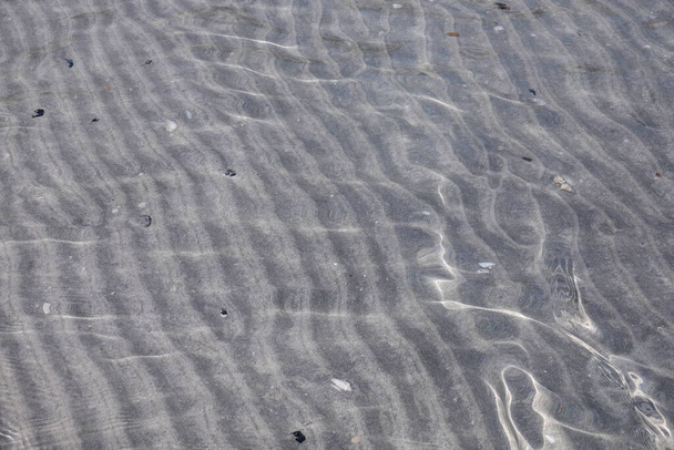 Mořské dno v čisté vodě na břehu Perského zálivu - Fotografie, Obrázek