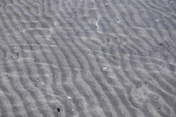 Mořské dno v čisté vodě na břehu Perského zálivu - Fotografie, Obrázek
