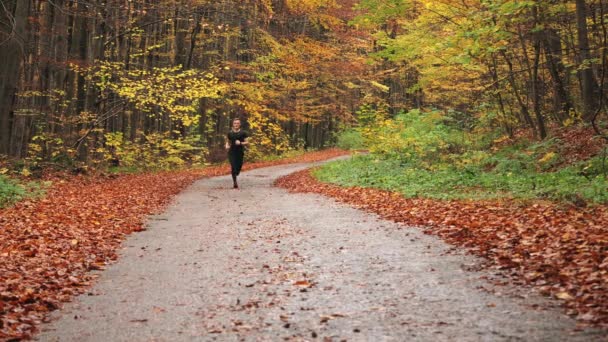 The athlete is running along a forest road and looking at the camera. Running training in autumn forest. Shooting from behind. 4K - Footage, Video