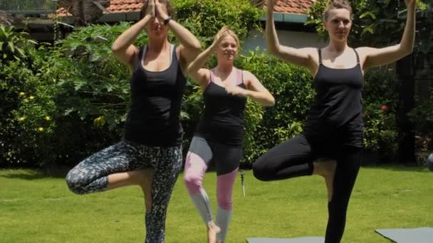 Dos mujeres jóvenes que practican la pose del árbol con el instructor de yoga mientras hacen ejercicio al aire libre en el césped verde en el día de verano - Imágenes, Vídeo