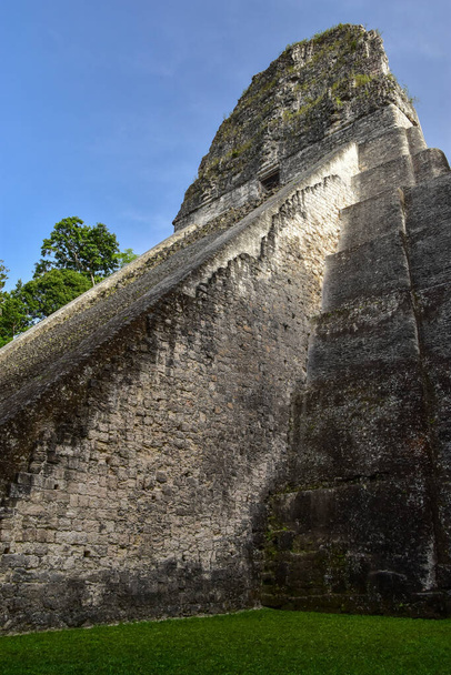 A pyramid at Tikal National Park, Guatemala - Photo, Image