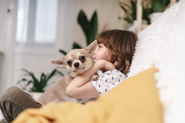Chihuahua dog licks little laughing childs face on couch with blanket. Portrait of a happy caucasian kid boy hugging a puppy at cozy home on sofa and play together. Stay at home concept. - Photo, Image