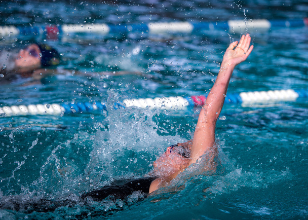 女性水泳背泳ぎレース - 写真・画像